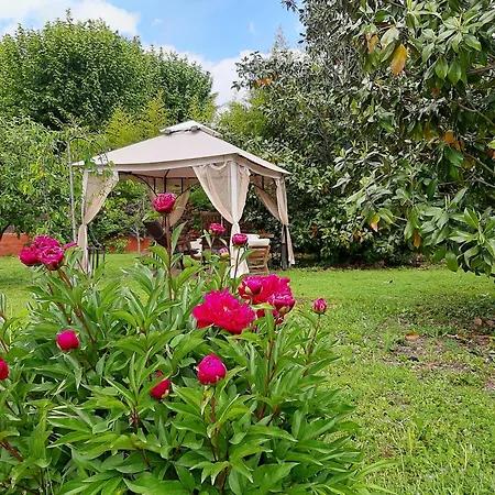 Appartamento Con Encanto L'estany 1