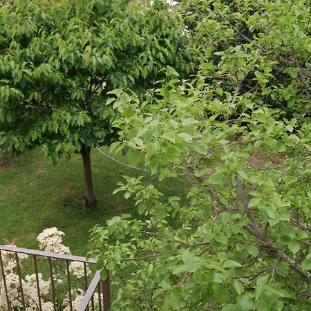Con Encanto L'estany 1 Apartment