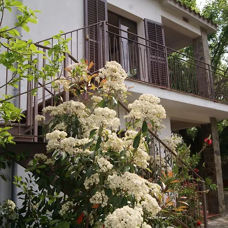 Apartment Con Encanto L'estany 1 Banyoles