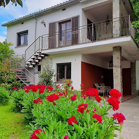 Apartment Con Encanto L'estany 1